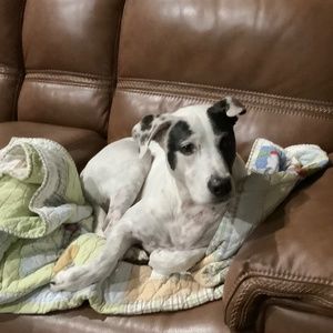 Meet your Posher, Crystal